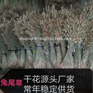 ��β�ݸɻ�  ����ֱ����β��ԭɫՓ�����l ��ɫ��β�ݸɻ�����