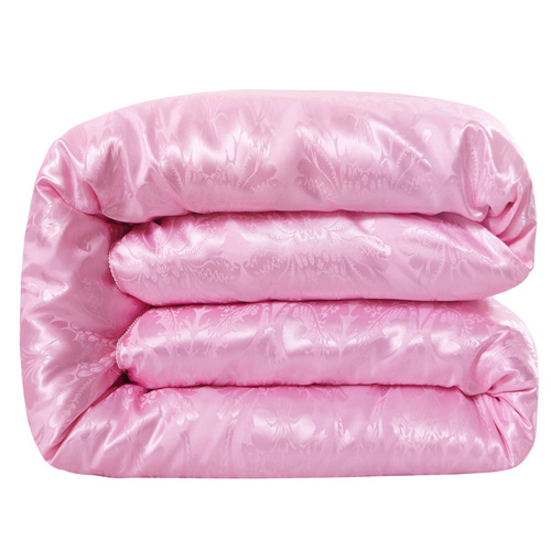 Factory Wholesale Brocade Silk Quilt Spring and Autumn Seasonal Pillowcore Summer Cool Quilt Trade Show Gift Bedding Jewelry Special Edition Winter Quilt