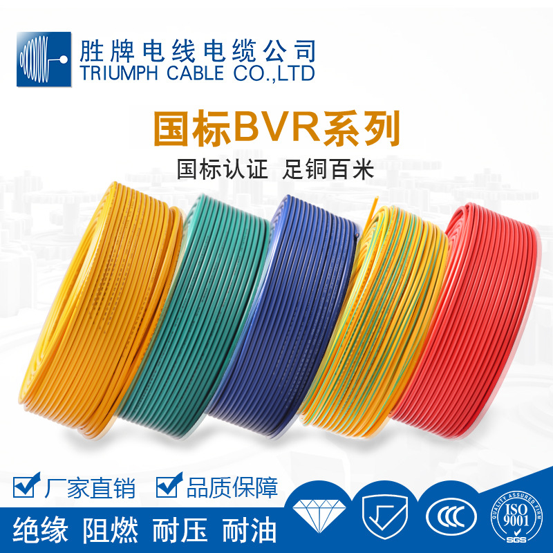 胜牌直销国标BVR6.0平方家装进户主线装修工程用线大功率电器配线