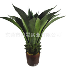 ����ʹ��m�Gֲ�����҃����k���ҼҾӾƵ��b[�O�S��ֱ�N���l