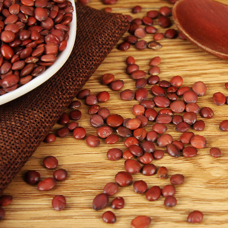 Suan Zao Ren (Ziziphus jujuba var. spinosa) — Dried Wild Jujube Seed for Tea & Soup key features