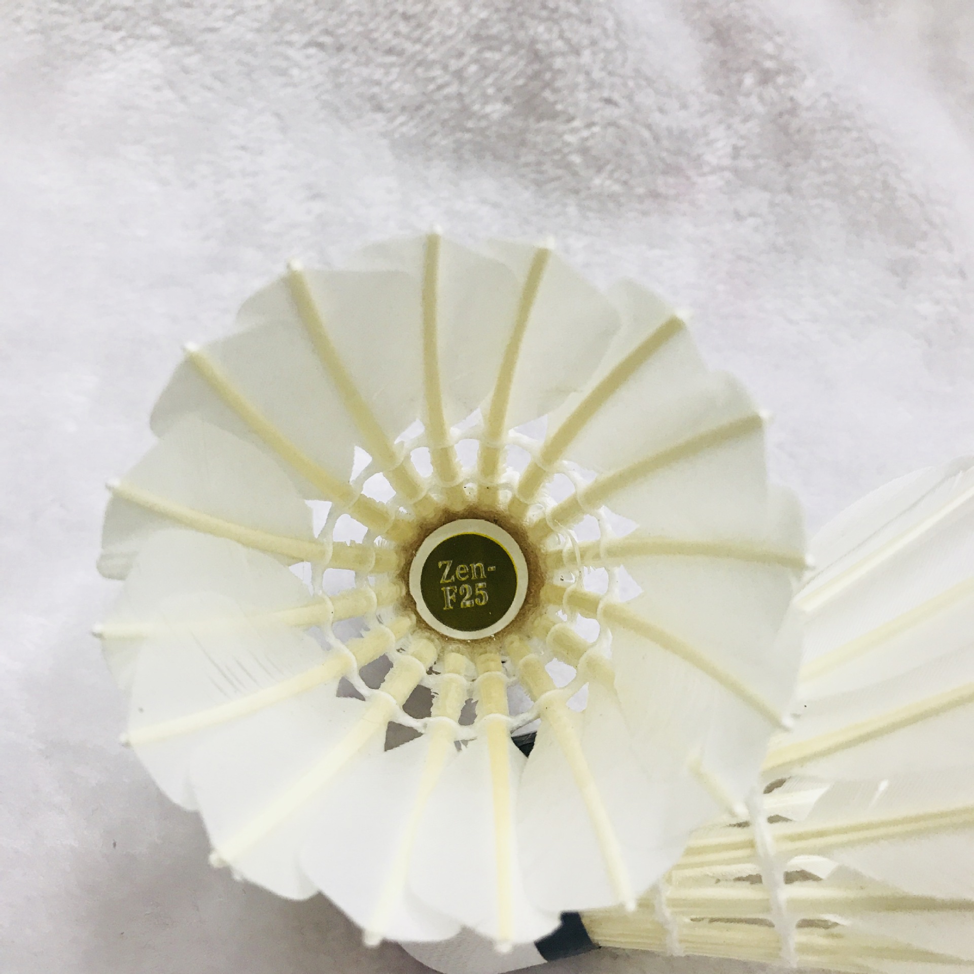 IMG_3107(20180305-111052)