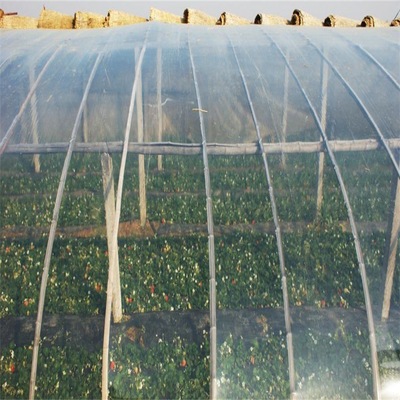 山东蔬菜温室大棚膜多功能薄膜农膜水晶PO膜抗老化|ms