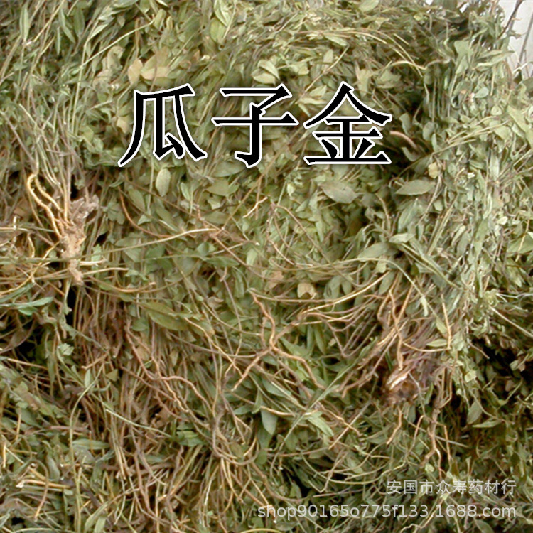 中药材 瓜子金 金不换金锁匙产后草另售各种冷背草药咨询客服-阿里巴巴