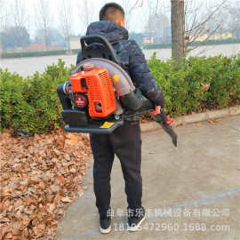 汽油动力背负式吹风机价格 路面吹灰机 高架桥除尘吹风机图片