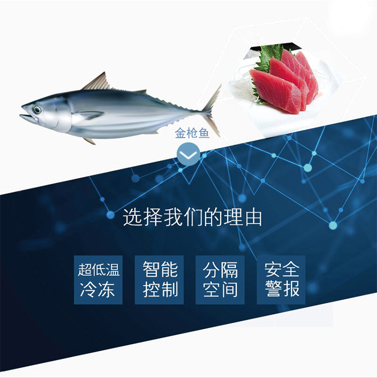 和利 220升冰柜卧式-40冷柜商用超低温冰箱-60金枪鱼超低温保存柜