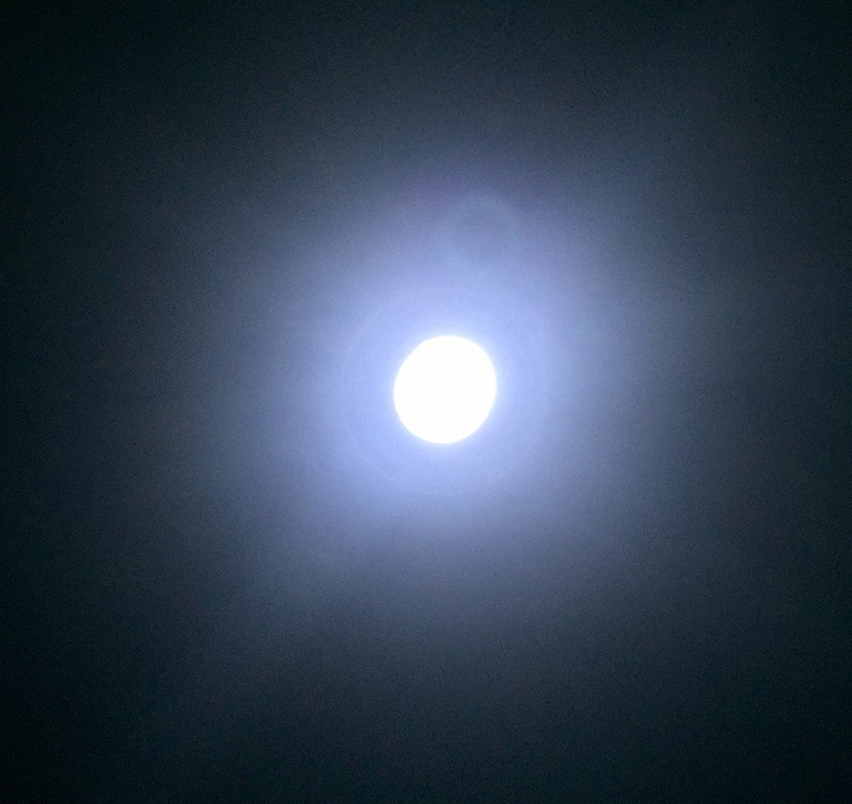 微信图片_20180910134446