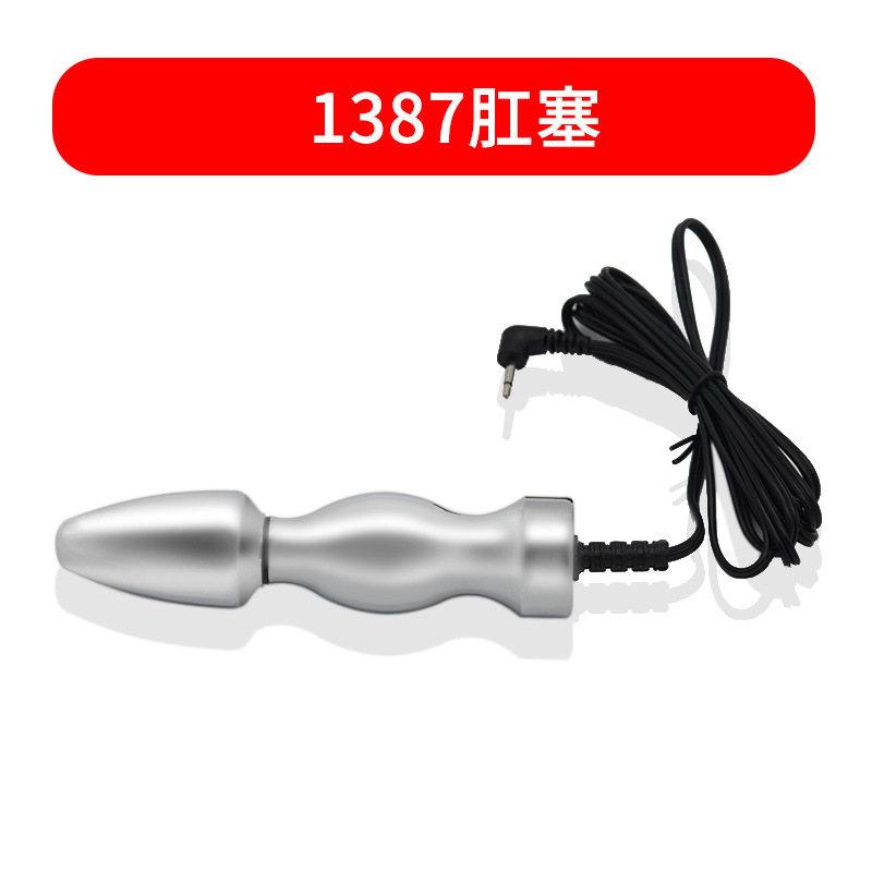 액세서리: 1387 항문 플러그