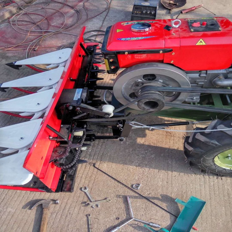 116618798885212508_副本