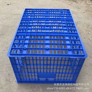 �eλ�� ���ö�ѿ���������� �����߲˿���~�\ݔ�� �������D��