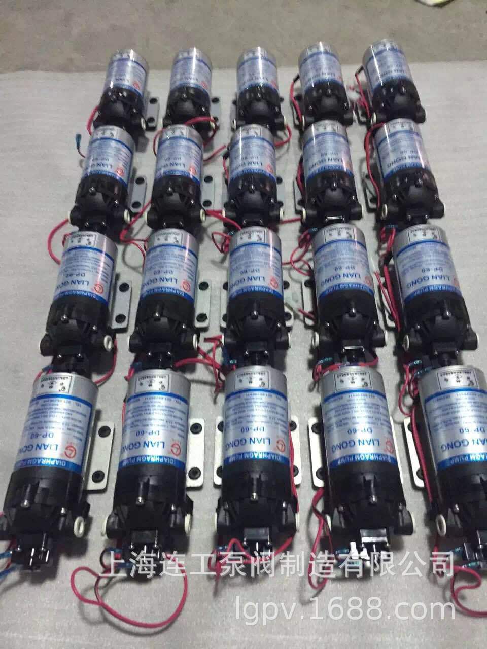 连工牌DP微型隔膜泵，电动隔膜泵，微型水泵