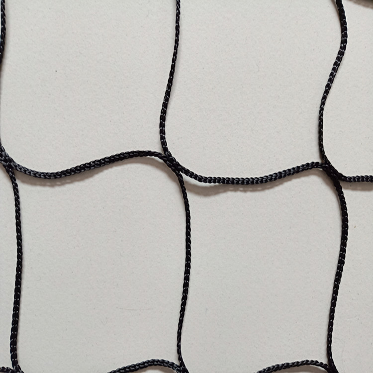 wangziIMG20180728095326