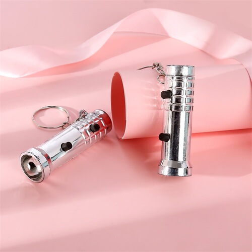 Portable purple and white light LED dual-purpose currency detector lamp mini dual-light small flashlight currency detector keychain pendant