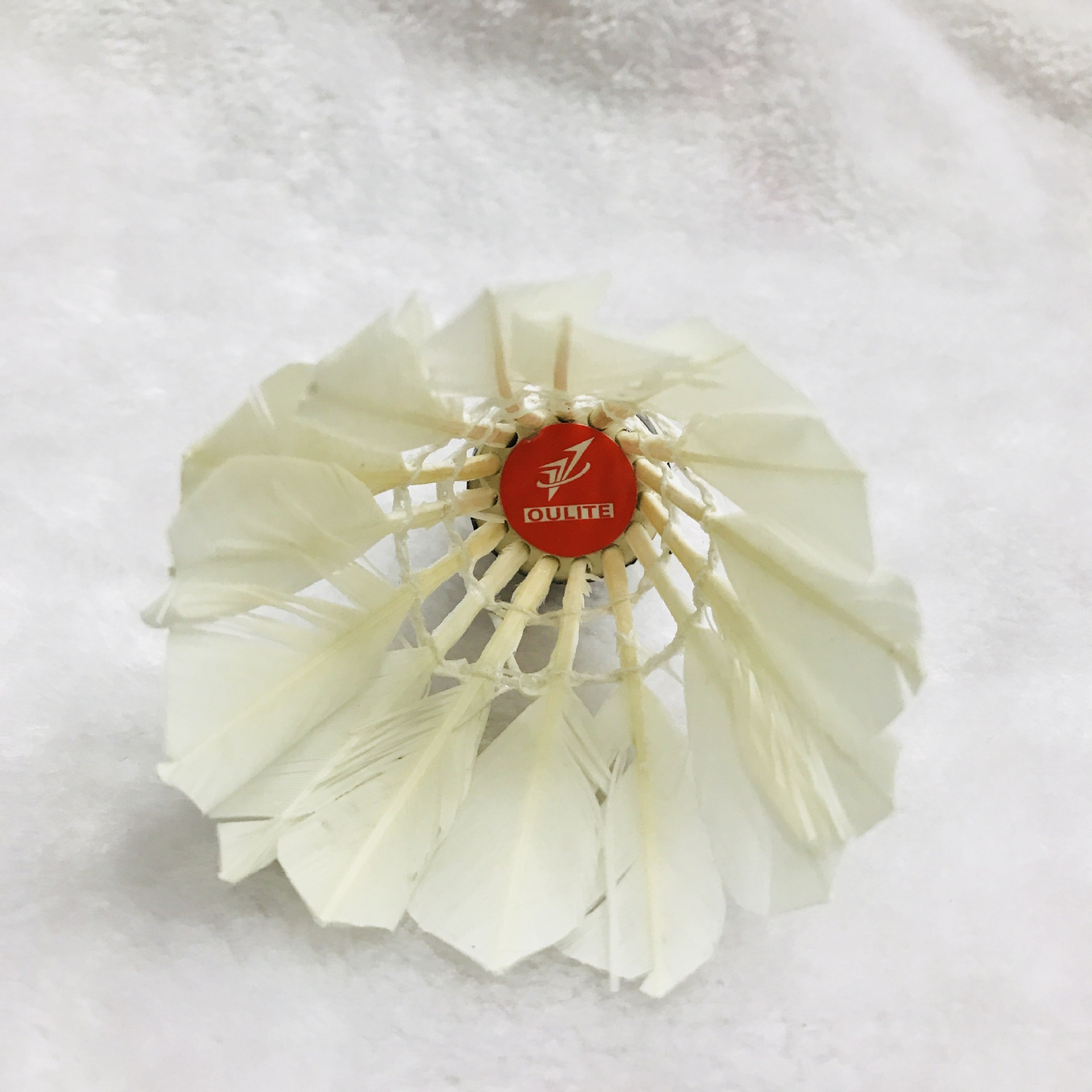 IMG_3113(20180305-111714)