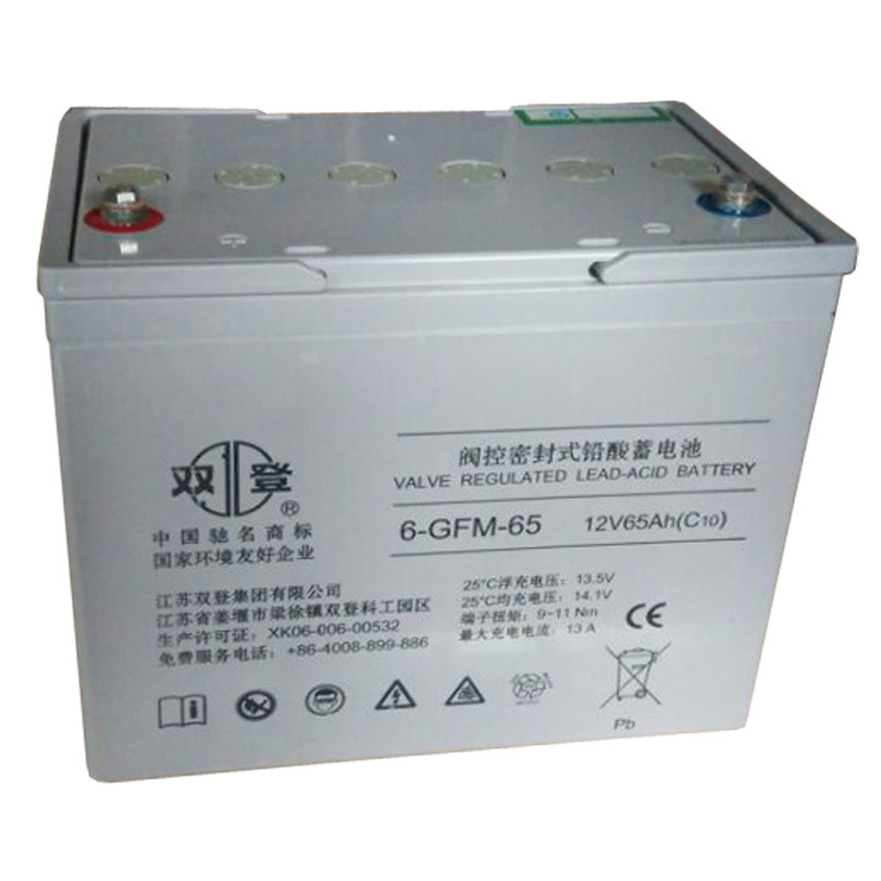 双登12V65AH