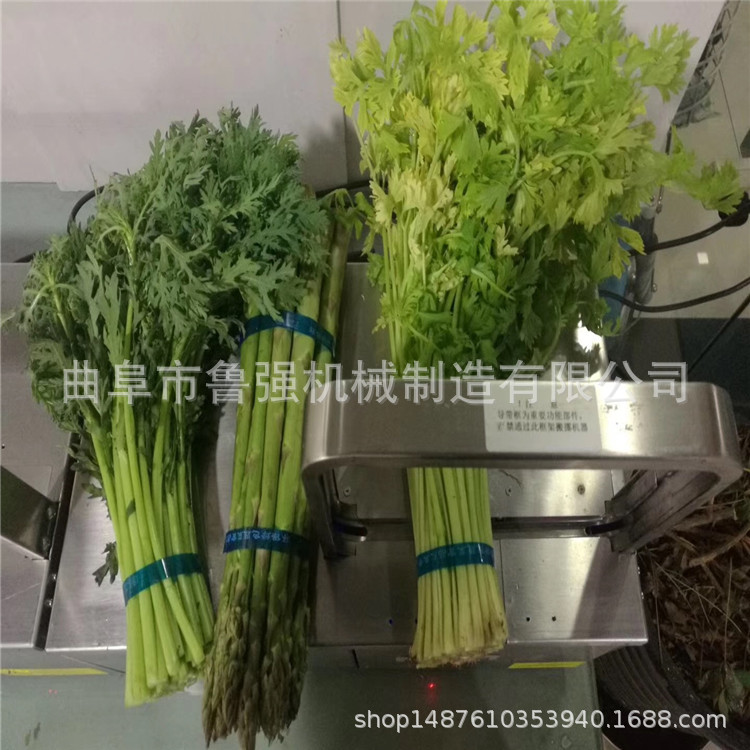 连云港全自动打包机行业新闻