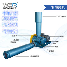 江苏总代理三叶罗茨风机污水处理用65型罗茨风机战尔机械十年老厂