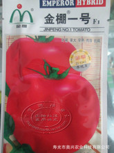 寿光蔬菜种子 西安金棚一号粉果番茄 粉果西红柿种子大面积