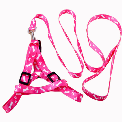 Wholesale 1.0CM Dog Leash Polyester Printed Puppy Pet Harness and Lead Set