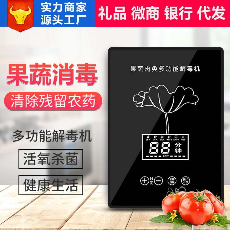 活氧果蔬消毒机厨房洗菜机果蔬解毒机家用肉类果蔬清洗机厂家代工|ms