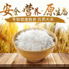 Wholesale New Rice Northeast Rice Farmers Parents Fragrant Scent of Fragrant Rice Grace Miscellaneous Grain 1 pound of 500g five pounds free shipping