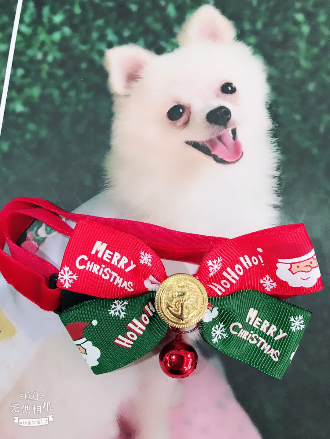 Christmas bow tie