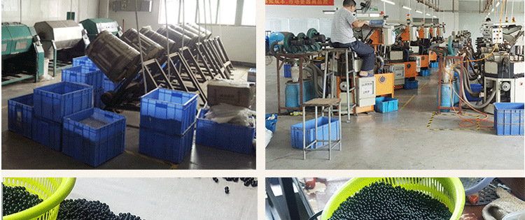 象牙果详情工厂图_08