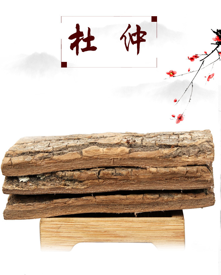 Eucommia Bark (Eucommia ulmoides) — Dried Du Zhong Slices for Tea, Soup & Herbal Soaks key features