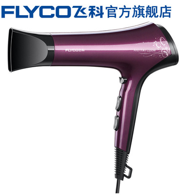 Flying Branch Flagship store Flying Branch Hair dryer high-power household anion Cold hot air FH6273
