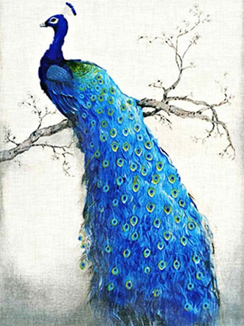 DW516_副本 - 副本.jpg