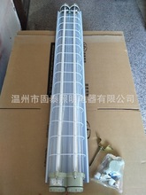 生产BAY51-18W*2防爆荧光灯单管双管LED防爆荧光灯壁装 吸顶装