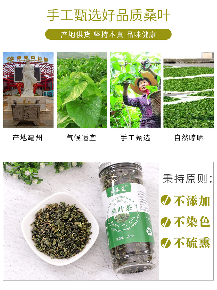 Mulberry Leaf Tea (Morus alba) — Frost-Kissed Winter Sang Ye Herbal Tea, 100g Jar overview