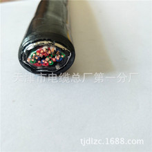 WDZC PTY23zbȼ͟ou̖F·|