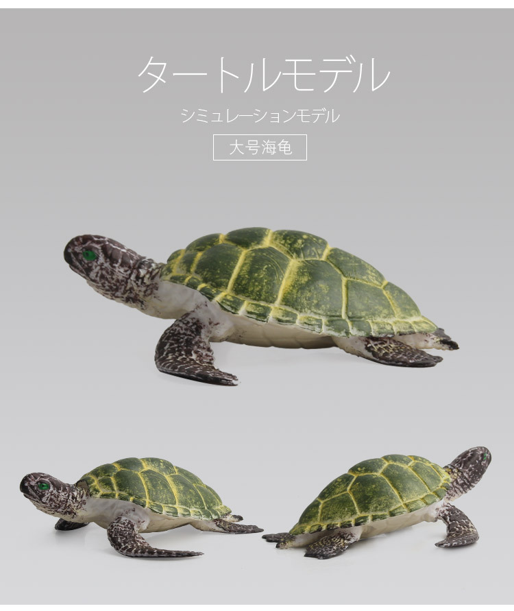 海龟模型_12