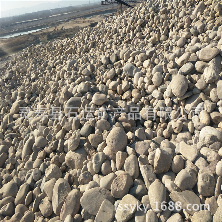 大量供应鹅卵石 北京 天津 山东 绿化园林装饰鹅卵石 景观河卵石