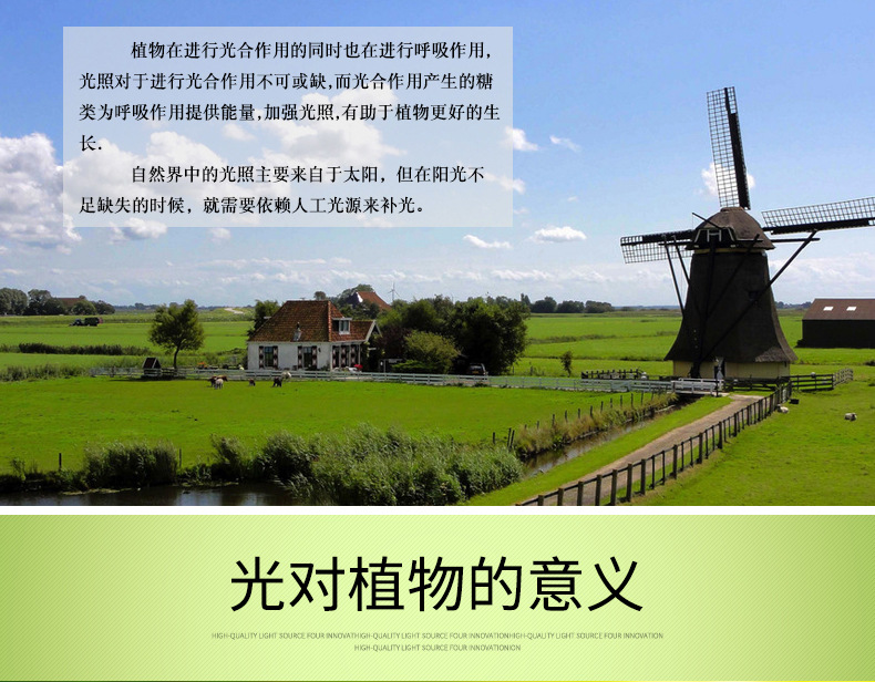 新阿凡达详情页_04