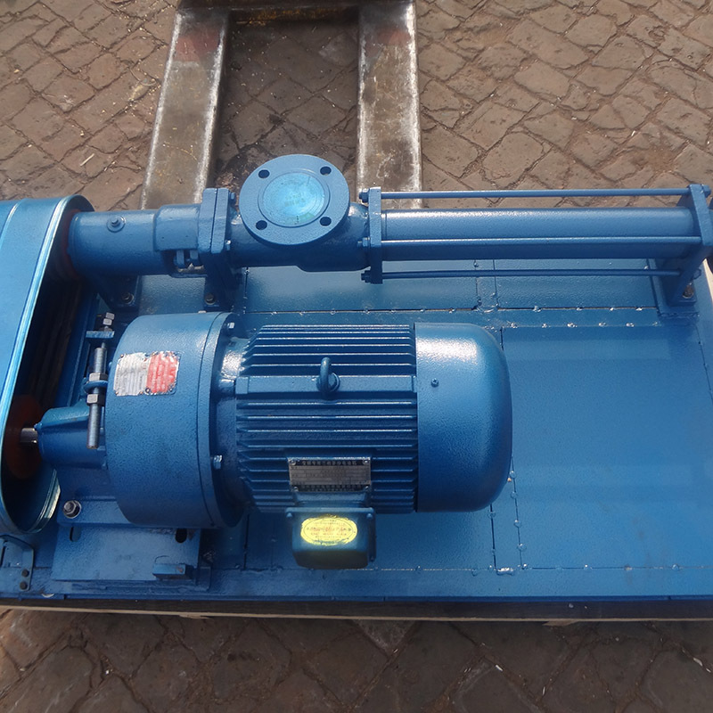 立式污泥泵EH6300-V-W201单螺杆泵用于湛蓝科技开发公司