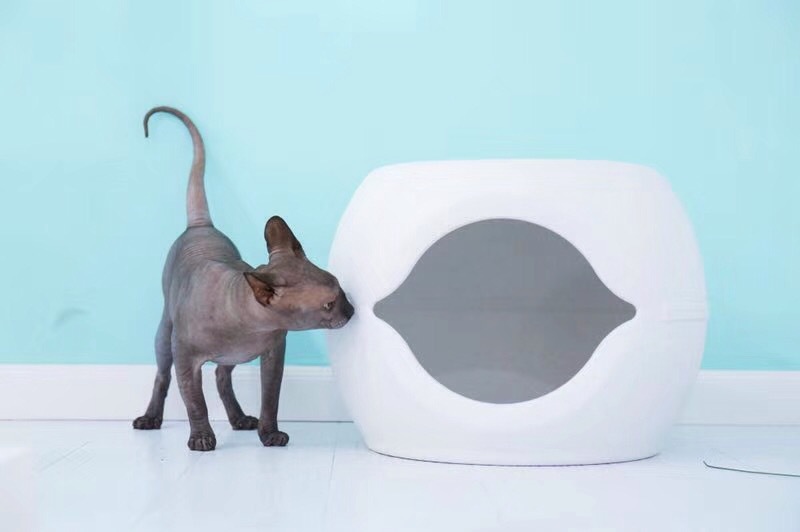 微信图片_20180909090509