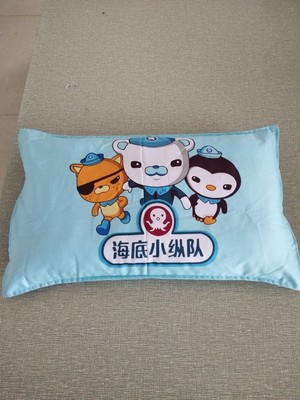 Cotton children Pillow core Cartoon pillow baby comfortable children EPE Pillow core 3050 One is in the process of issuing
