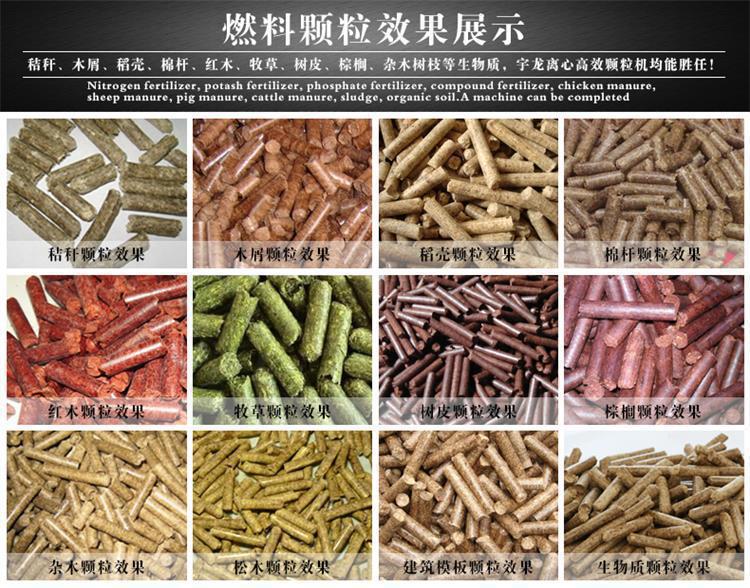 4054977424_2076028511