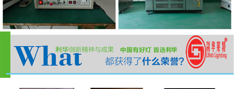 利华莱特3公分单色点光源规格书球泡-1_29