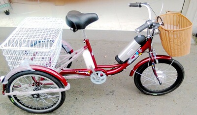 时尚电动车 老人电动三轮车 代步车迷你车 36V三轮车 包邮|ru