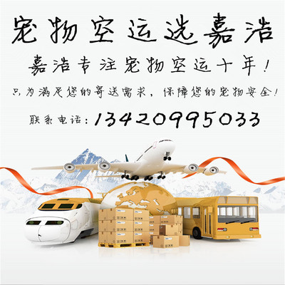 Shenzhen Hong Kong Aviation agent Air transport Pets at home and abroad Airport Train Arranged Certificates