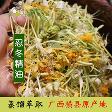 忍冬精油金银花单方精油护肤香薰广西横县100g/瓶