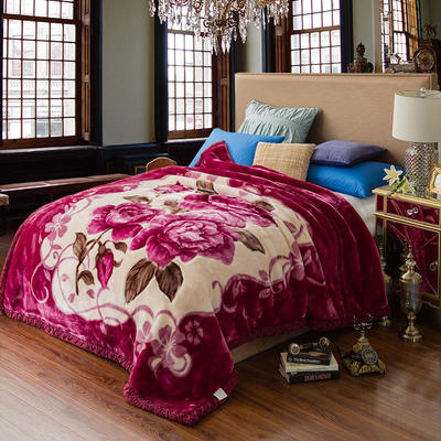 拉舍尔毛毯加厚冬季盖毯双层毯子婚庆法莱绒纯色毯批发微商代发|ms