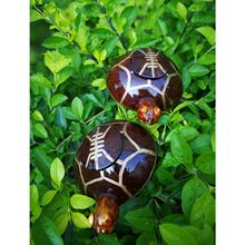 ҬҬҸX޾cƵ[СƷռ{жYƷֹ