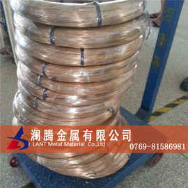 现高弹性c17200铍铜线 c17200铍铜丝 c17200铍青铜线材 铍铜扁线