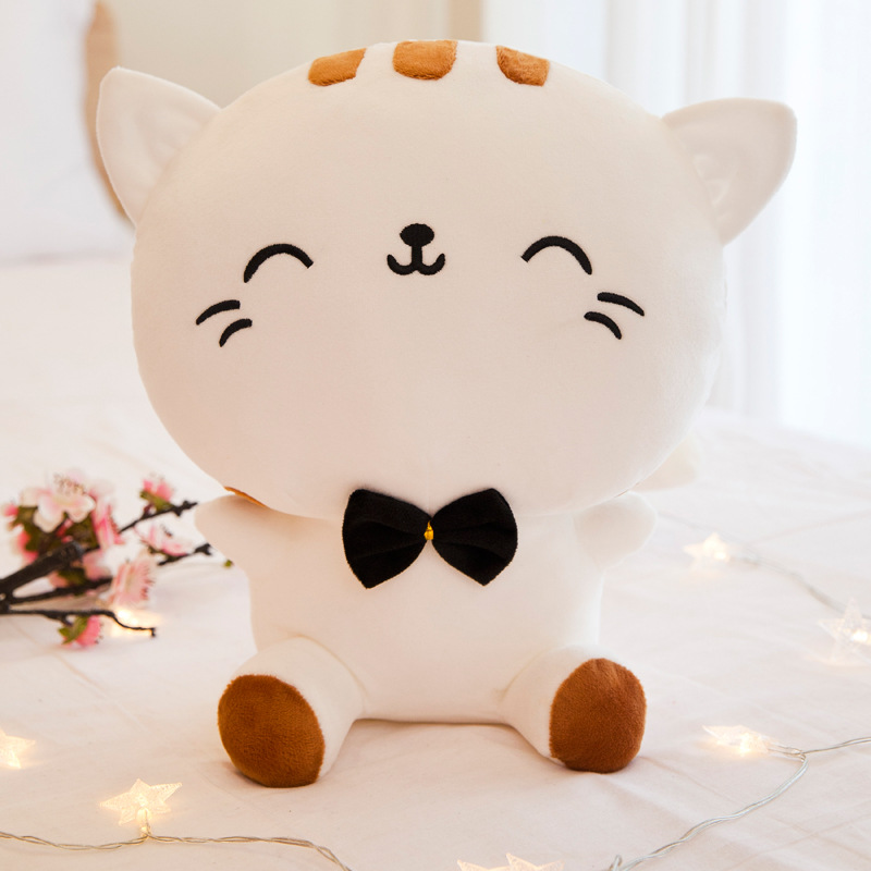 White smiling big face cat