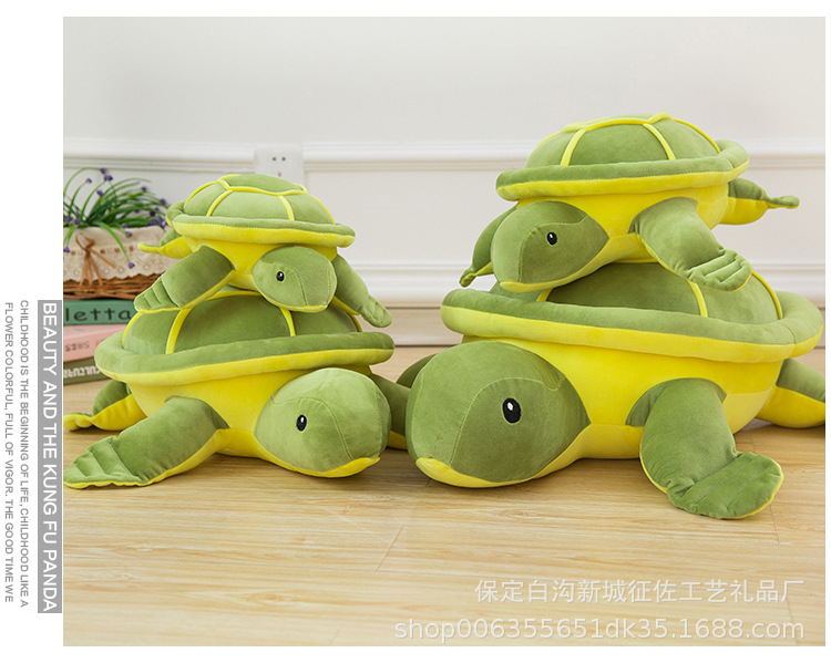 Kuschelschildkröte in mehreren Grössen