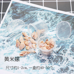 Shells and conches wholesale uv crystal glue enclosures handicraft making materials DIY packages for handcrafting